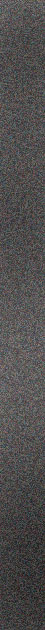 synop5